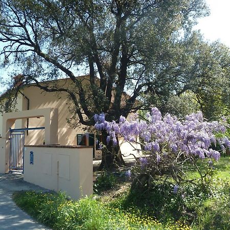 Al Vecchio Leccio Konuk evi Pistoia Dış mekan fotoğraf