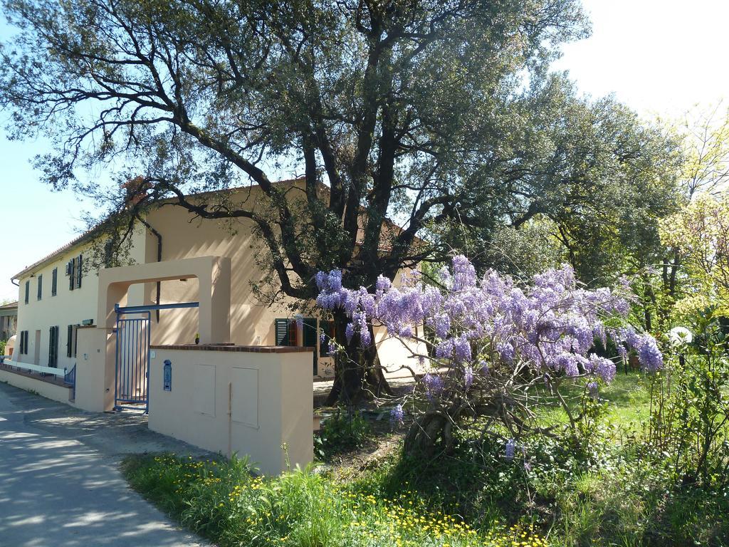 Al Vecchio Leccio Konuk evi Pistoia Dış mekan fotoğraf