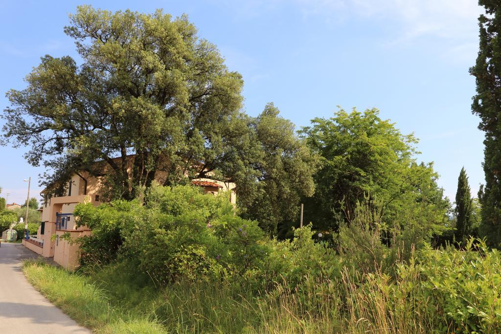 Al Vecchio Leccio Konuk evi Pistoia Dış mekan fotoğraf
