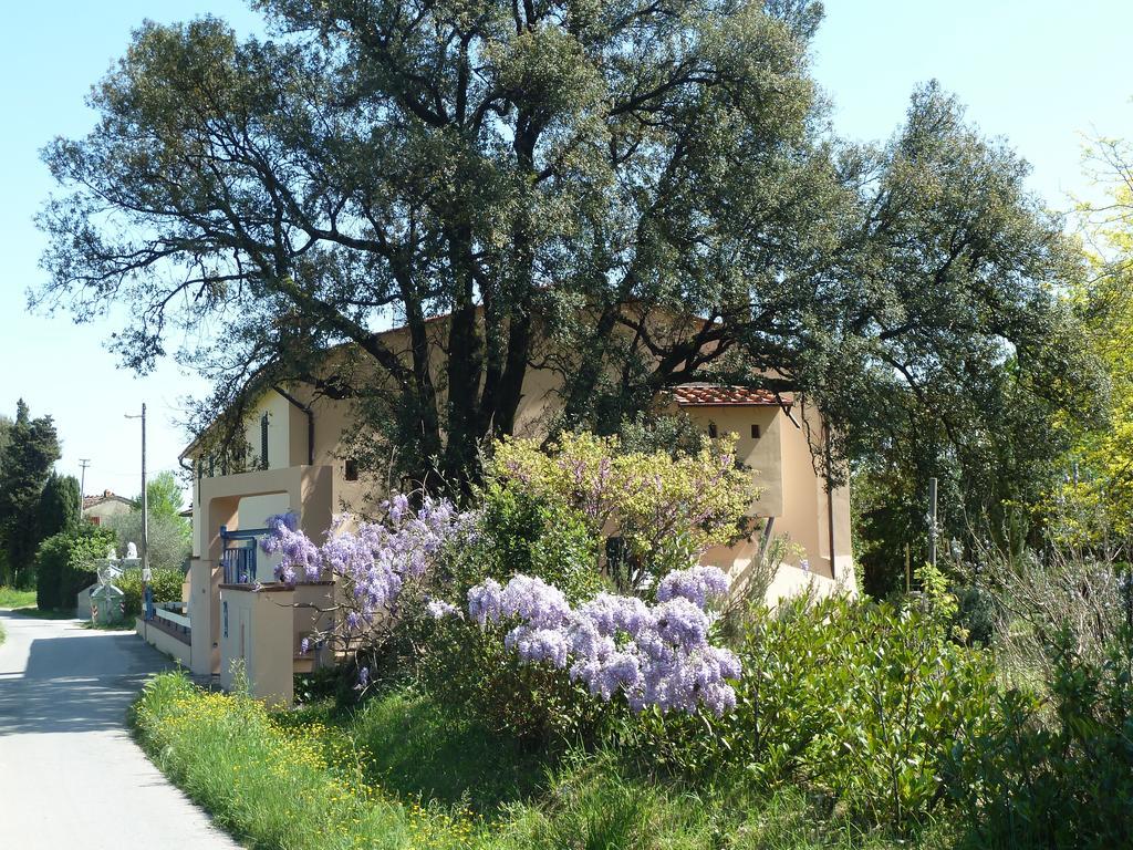 Al Vecchio Leccio Konuk evi Pistoia Dış mekan fotoğraf