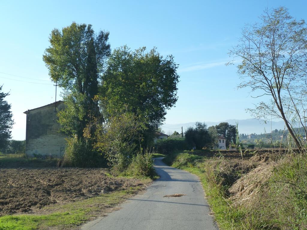 Al Vecchio Leccio Konuk evi Pistoia Dış mekan fotoğraf