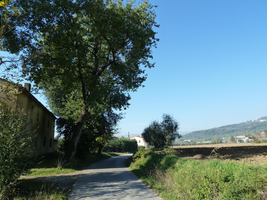 Al Vecchio Leccio Konuk evi Pistoia Dış mekan fotoğraf