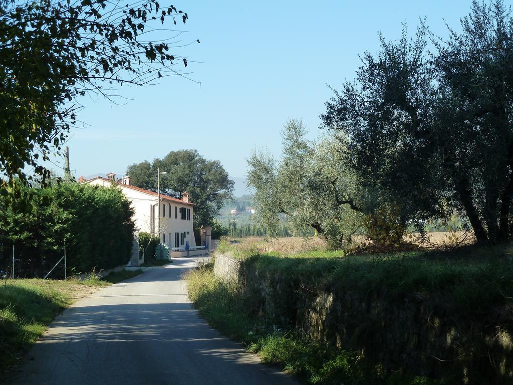Al Vecchio Leccio Konuk evi Pistoia Dış mekan fotoğraf