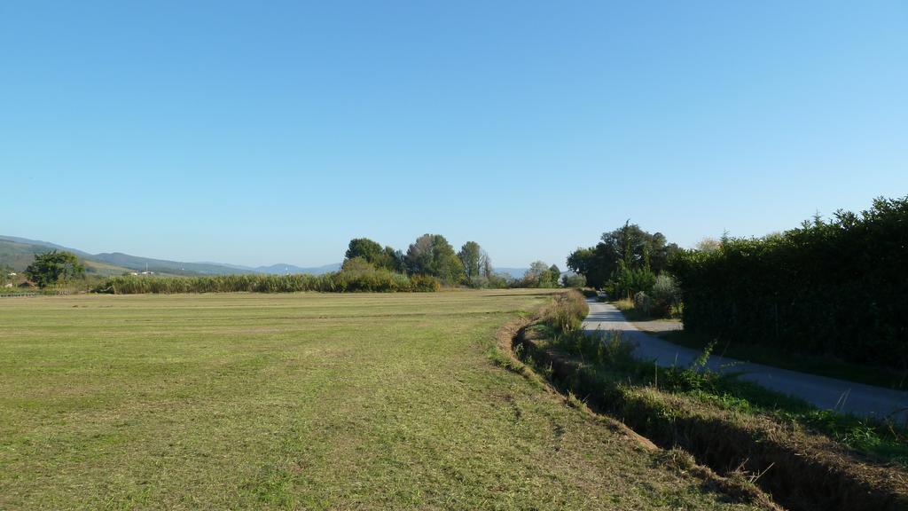 Al Vecchio Leccio Konuk evi Pistoia Dış mekan fotoğraf