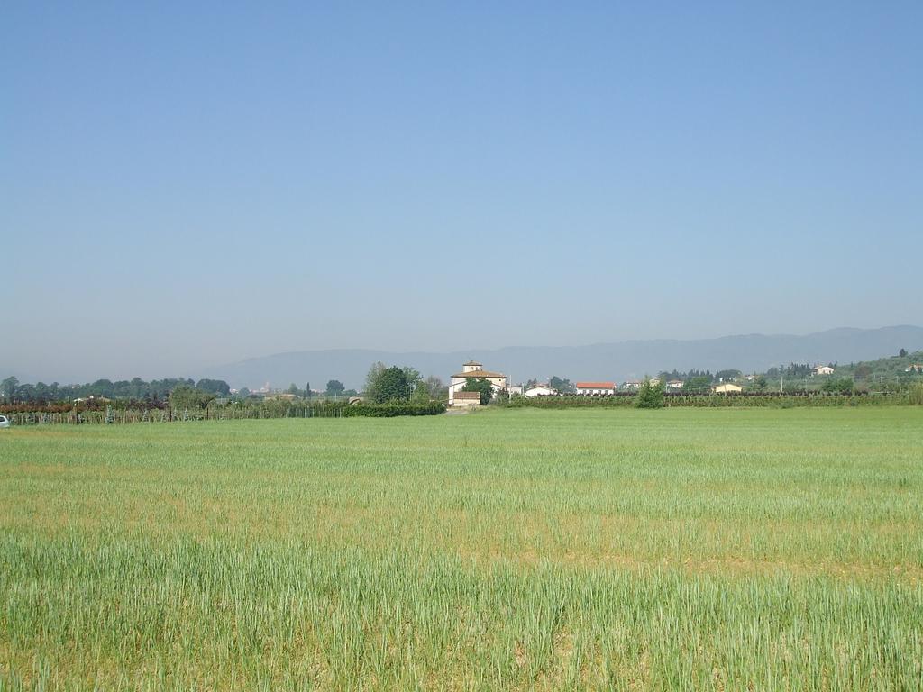 Al Vecchio Leccio Konuk evi Pistoia Dış mekan fotoğraf