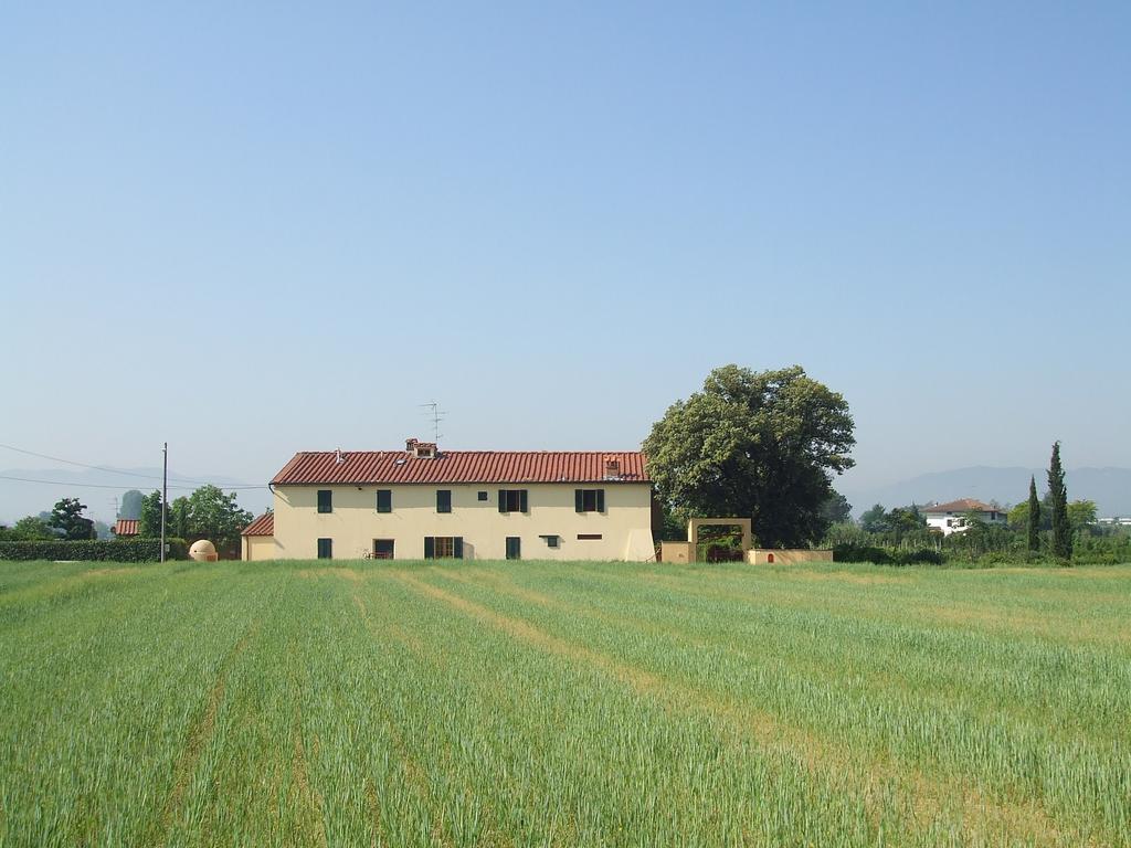 Al Vecchio Leccio Konuk evi Pistoia Dış mekan fotoğraf