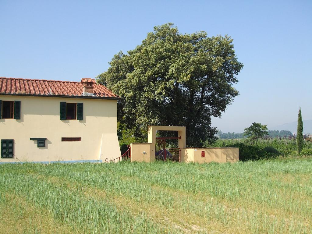 Al Vecchio Leccio Konuk evi Pistoia Dış mekan fotoğraf