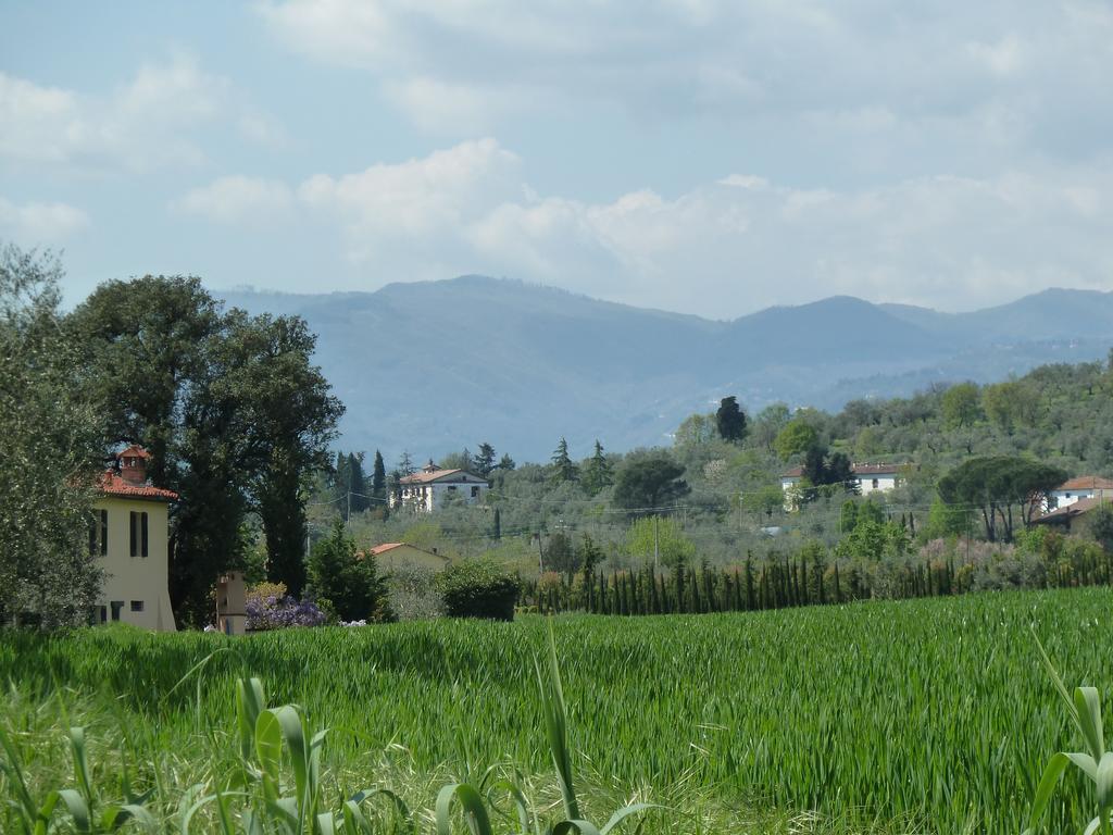 Al Vecchio Leccio Konuk evi Pistoia Dış mekan fotoğraf
