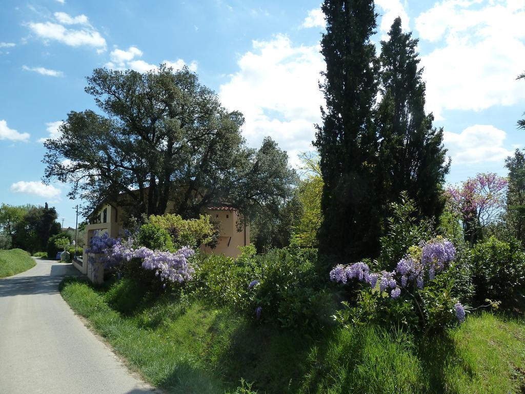 Al Vecchio Leccio Konuk evi Pistoia Dış mekan fotoğraf