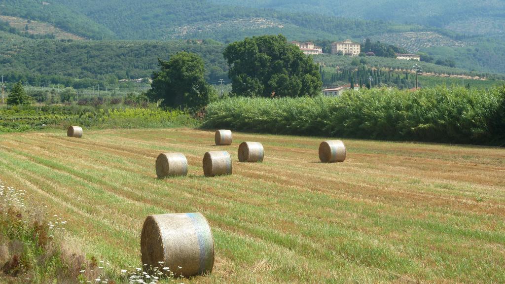 Al Vecchio Leccio Konuk evi Pistoia Dış mekan fotoğraf